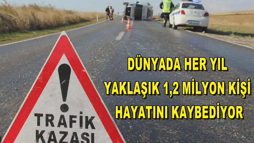 Dünyada her yıl yaklaşık 1,2 milyon kişi hayatını kaybediyor