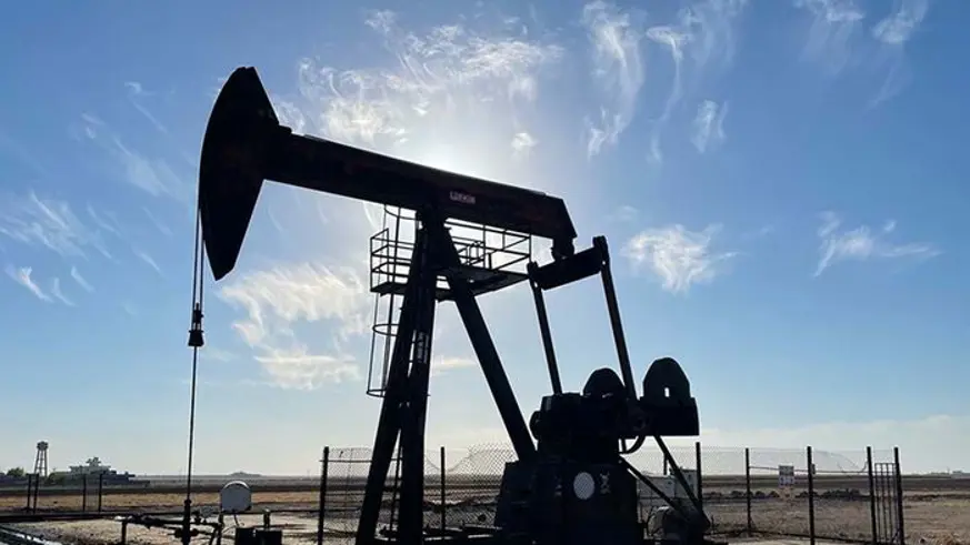 Üç ilde petrol aranacak
