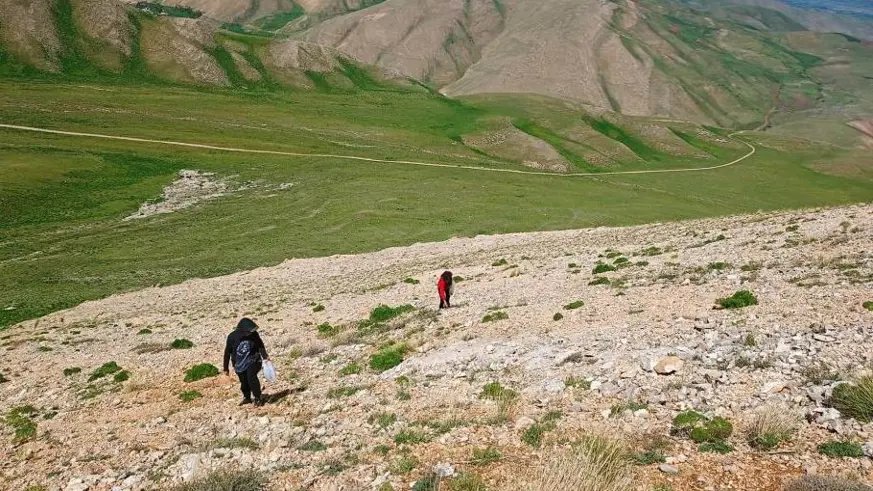 Heliz otu ve mantar zehirlenmesi uyarısı