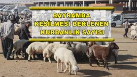 Bayramda kesilmesi beklenen kurbanlık sayısı