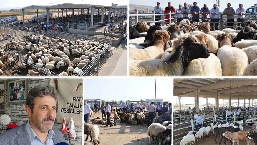 Besicilerden bayram öncesi açıklama: Kurbanlık sıkıntısı yok