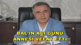 BAL’IN ACI GÜNÜ