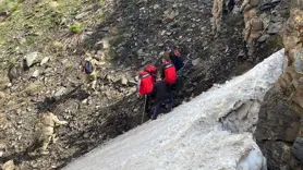 Pancar toplamak için dağa giden kadın ölü bulundu