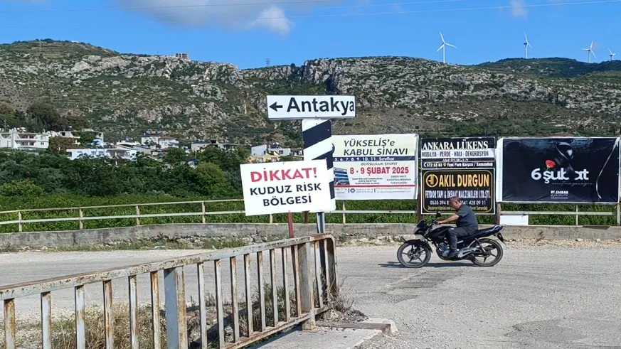 Hatay'da kuduz karantinası