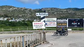 Hatay'da kuduz karantinası
