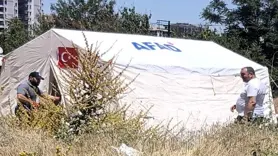 39 yaşındaki kadın çadırda ölü bulundu