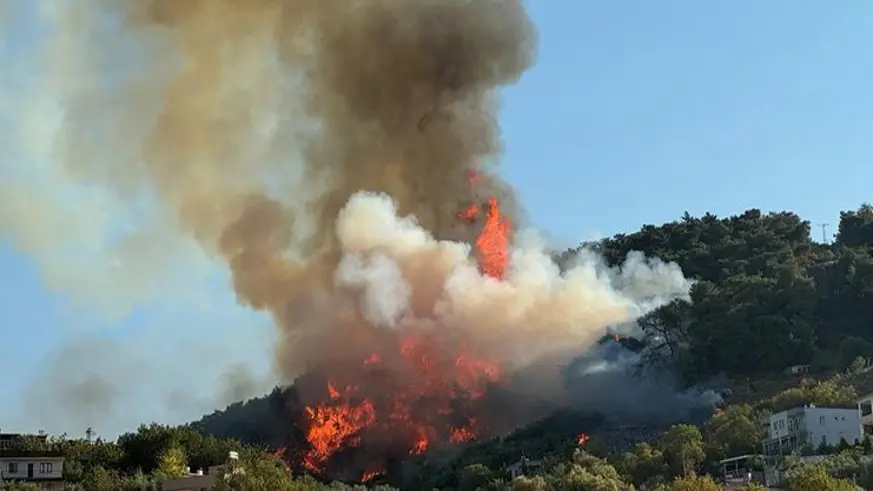 Manisa'daki yangında 1 kişi tutuklandı