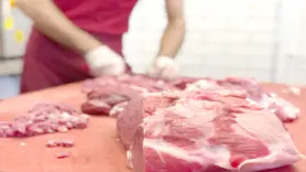 Et fiyatlarının artmasında şap hastalığı etken değil