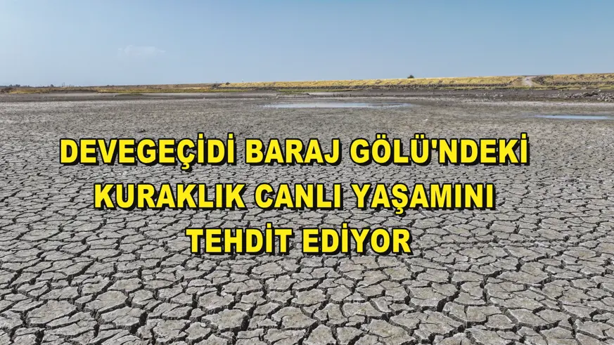 Devegeçidi Baraj Gölü'ndeki kuraklık canlı yaşamını tehdit ediyor