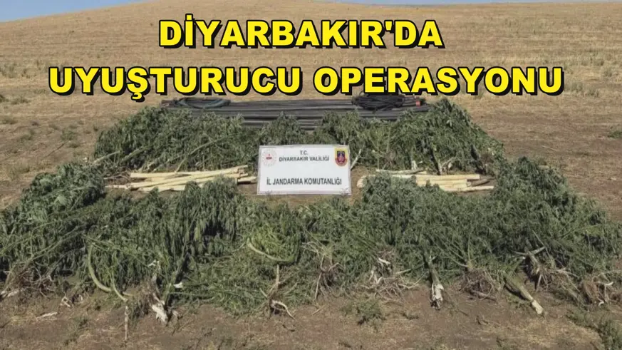 Diyarbakır'da uyuşturucu operasyonu